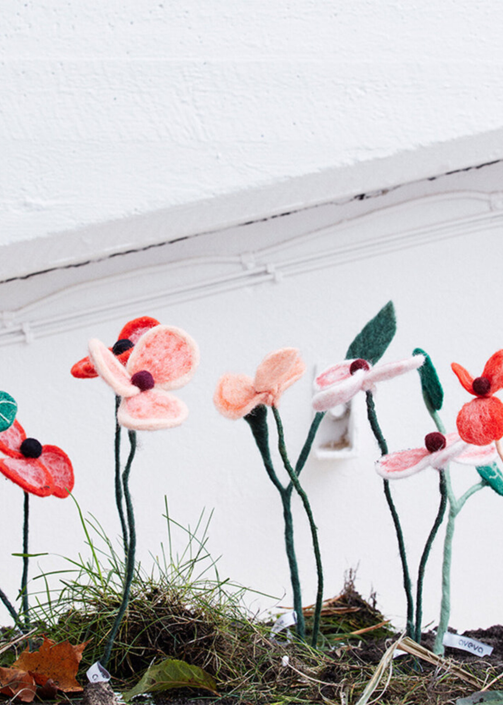 Aveva design Aveva design ENDLESS FLOWER, poppy coral