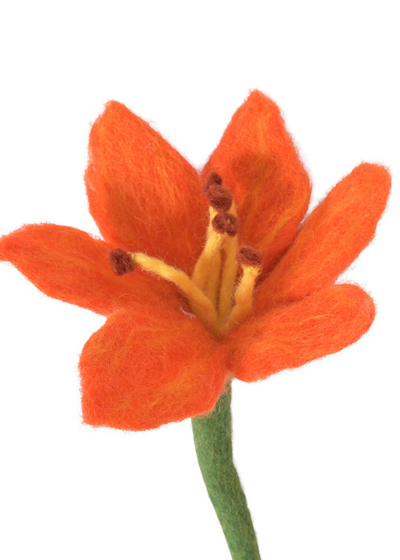 Aveva design Aveva design ENDLESS FLOWER, lily, coral