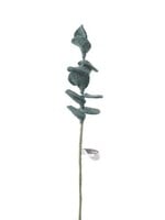 Aveva design Aveva design FLOWER, EUCALYPTUS, dark-green