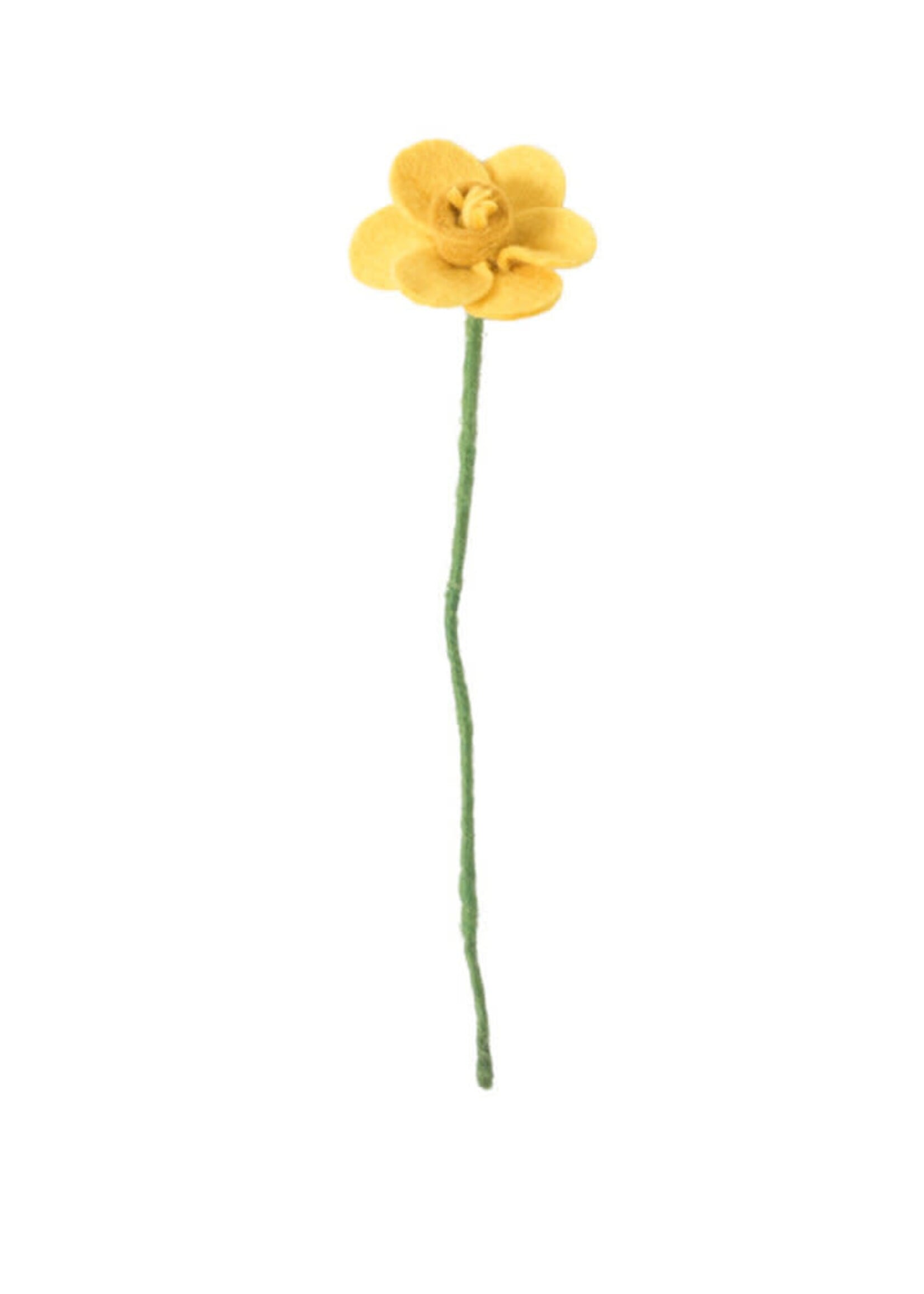 Aveva design Aveva design FLOWER, DAFFODIL, yellow