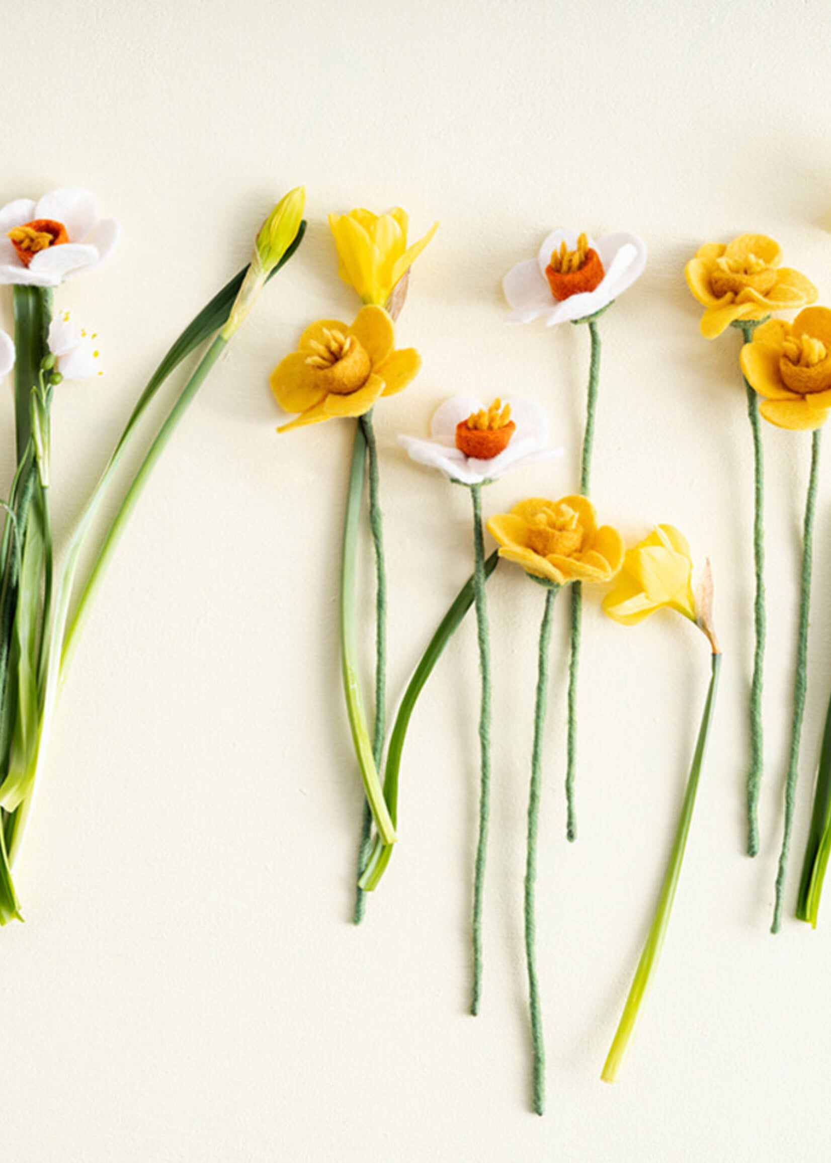 Aveva design Aveva design FLOWER, DAFFODIL, yellow