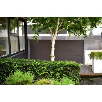 Extendable sun/ wind screen