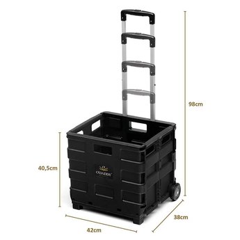 O'DADDY® Praktische Shopping Krat XL, 40L