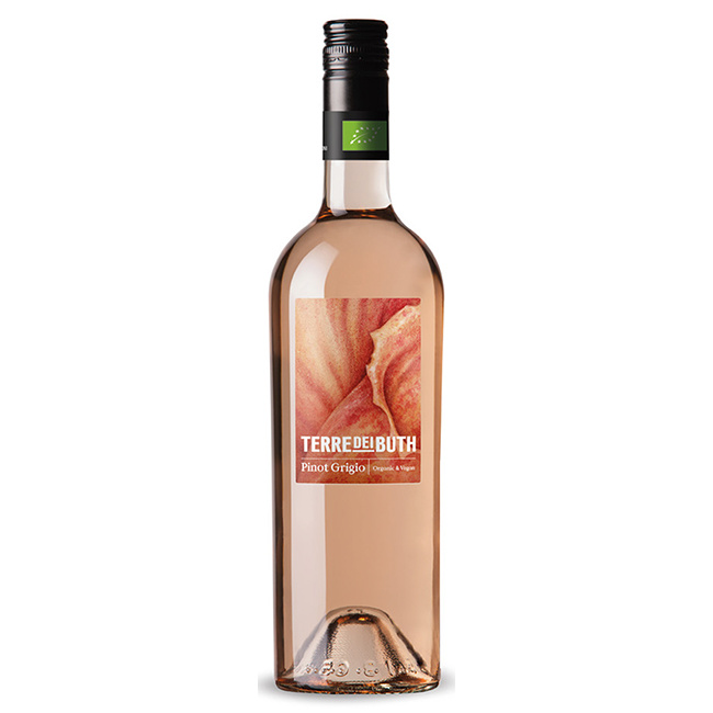 Terre Dei Buth Pinot Grigio Rosé