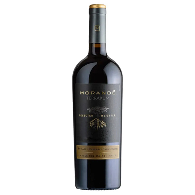 Morandé Terrarum Selected Blocks Syrah / Cabernet