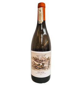 Painted Wolf Black Pack Chenin Blanc
