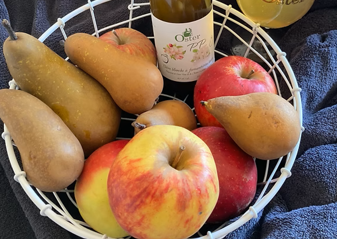 Oster PP Blanche - 4.7% vol. - 33 cl