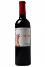 Morande Vigno Old vine Dry Farmed 2010