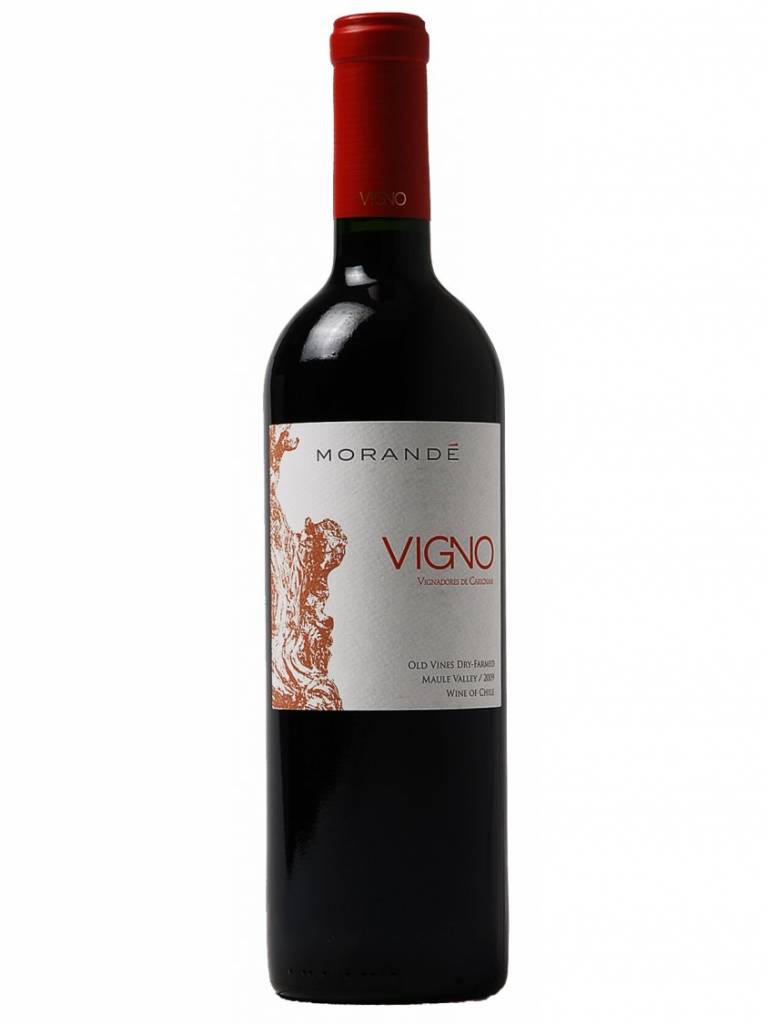 Morande Vigno Old vine Dry Farmed 2010
