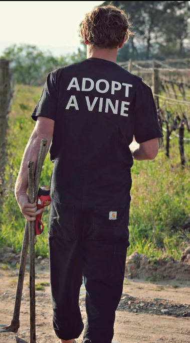 Adopt a Vine