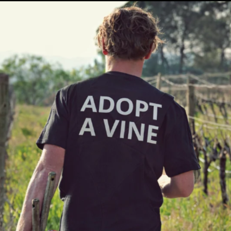 Tomish Wines Adopt a Vine