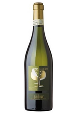 Ghione Moscato d'Asti DOCG (zoete schuimwijn)