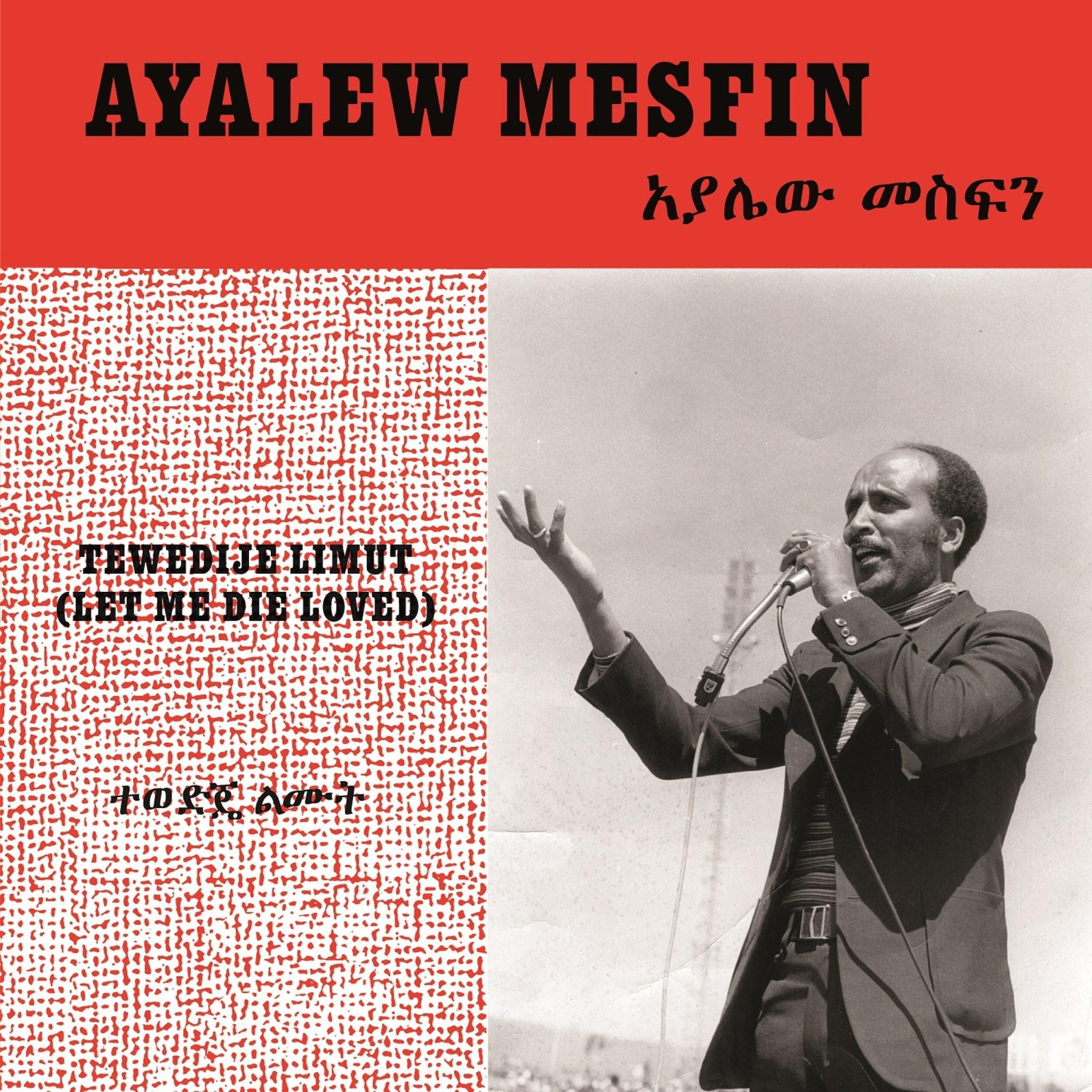 Ayalew Mesfin - Tewedije Limut
