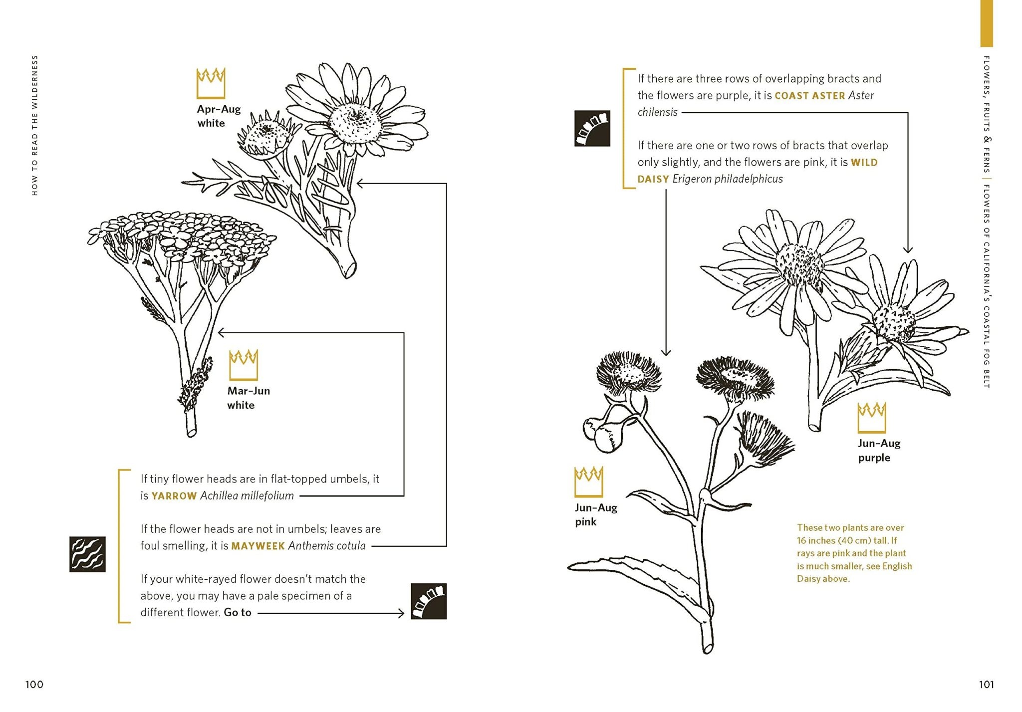 How To Read The Wilderness