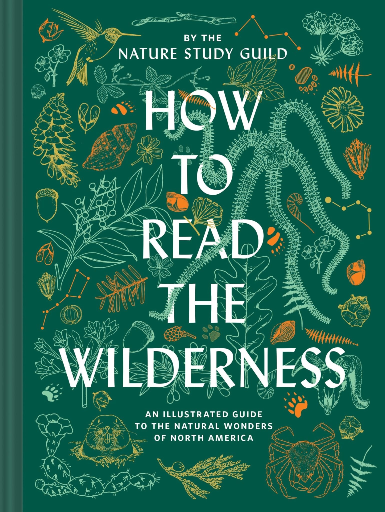 How To Read The Wilderness