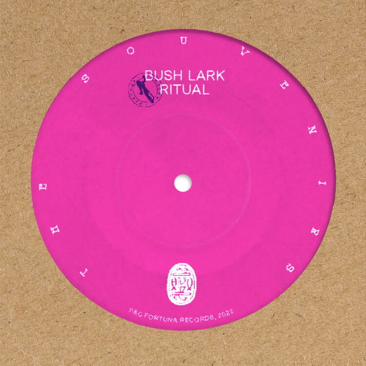 The Souvenirs - Bush Lark Ritual / Laughing Dove Dance