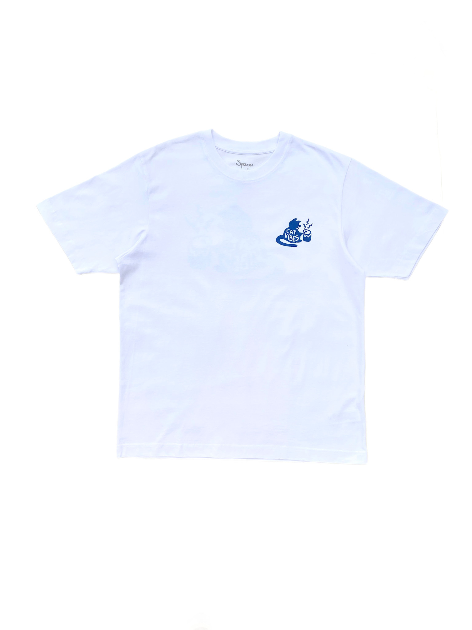 Space For Creation Cat Vibes