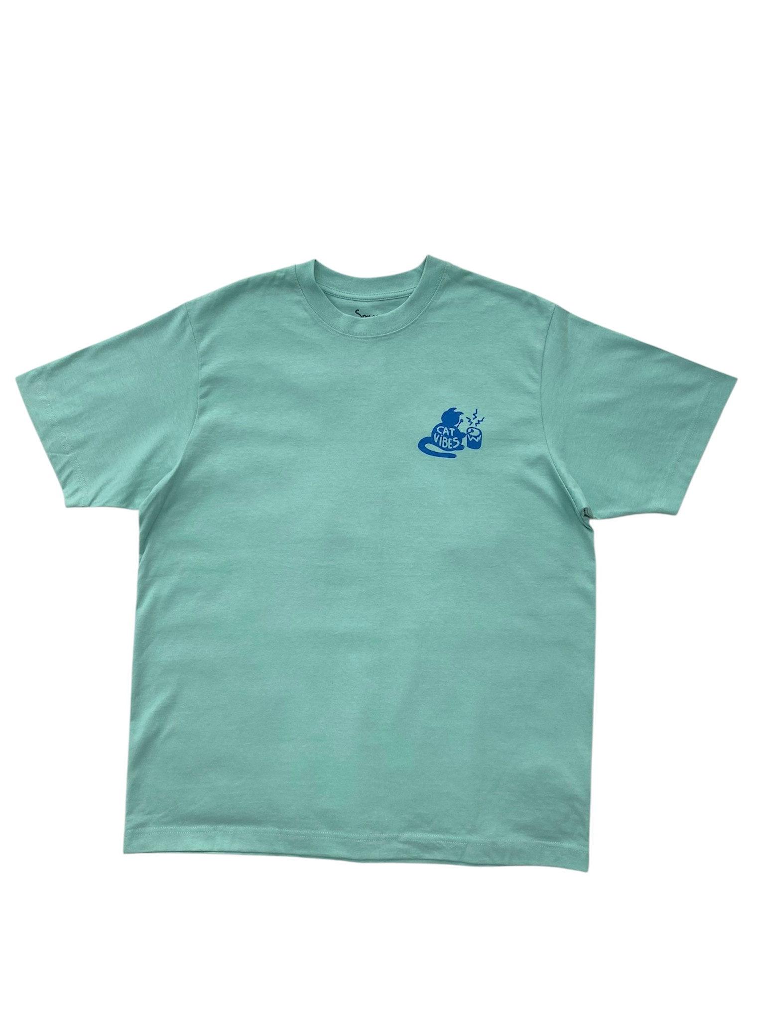 Space For Creation Cat Vibes