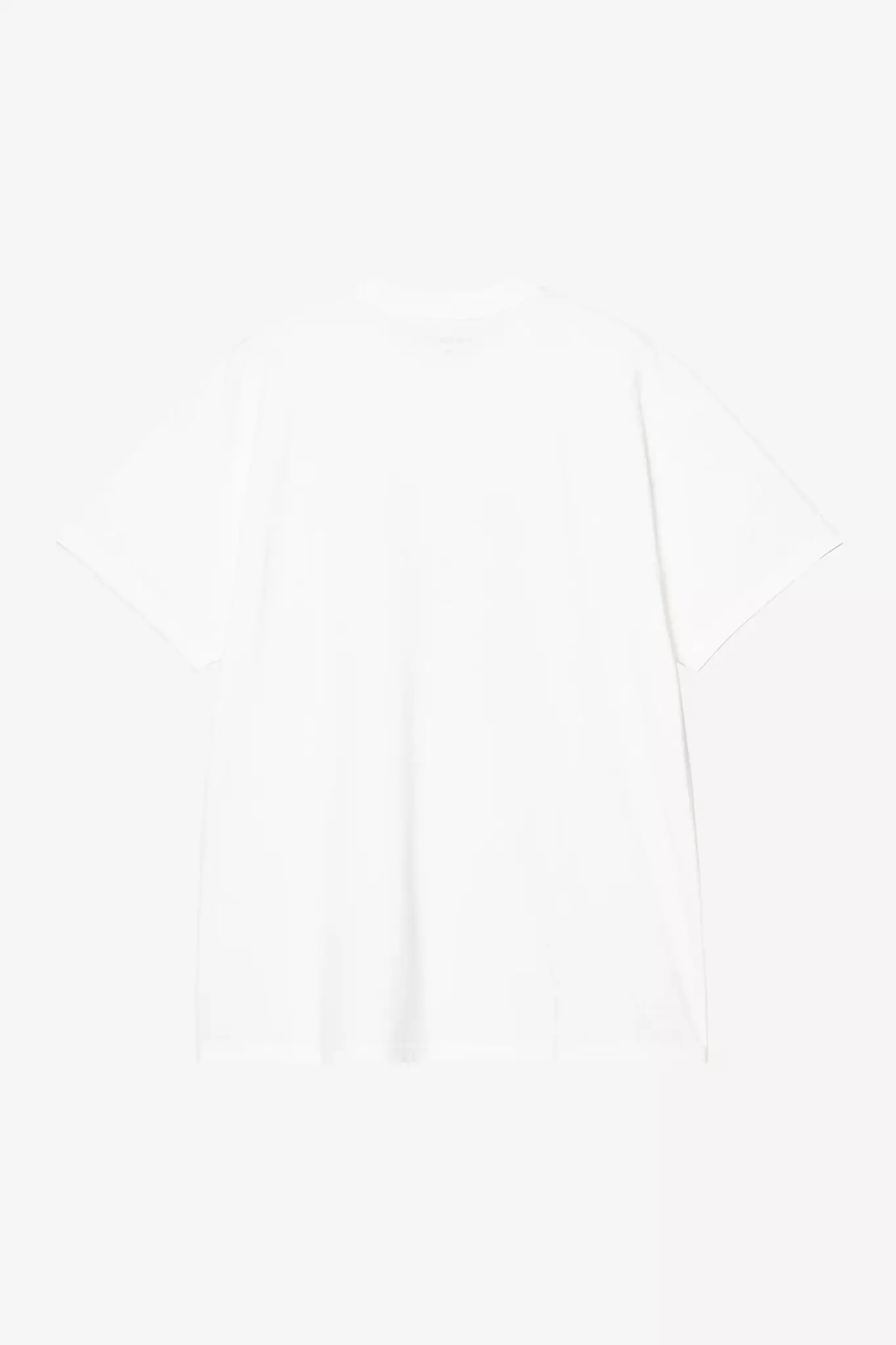 Carhartt WIP Wild Dog Tee