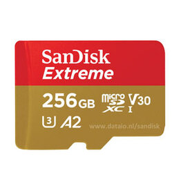 256GB SanDisk Extreme Micro SD card