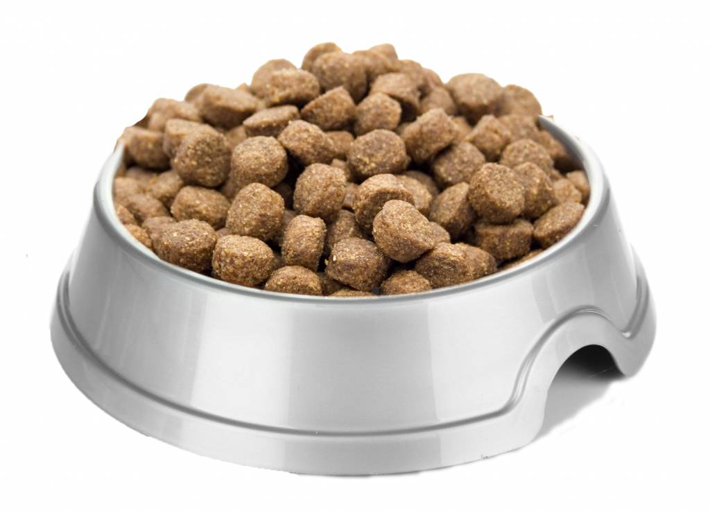 Hondenbrok op basis van Lam & Rijst, voor volwassen honden. Specimal.nl