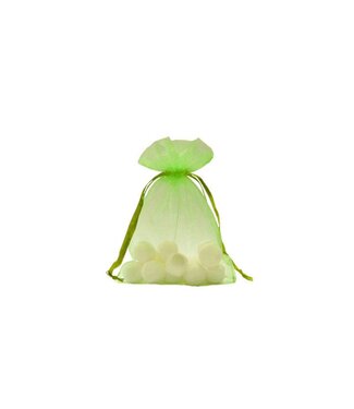 Organza bag with satin ribbon, Apple green