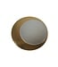 Cardboard roundel Gold / silver, Ø20cm