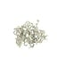 SizzlePak, Silver