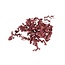 Sizzle,  Burgundy