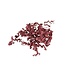 Sizzle, Burgundy