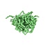 Sizzle, Groen
