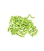 Sizzle, Lime Green