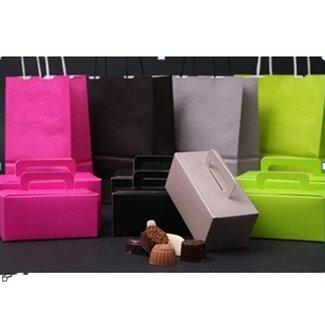 Papieren draagtassen,  div. kleuren, gedraaid handvat