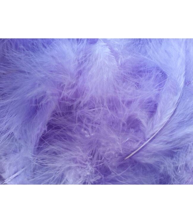 Decoratie veertjes, in diverse kleuren