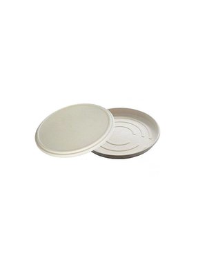  Bagasse pizza box, bodem