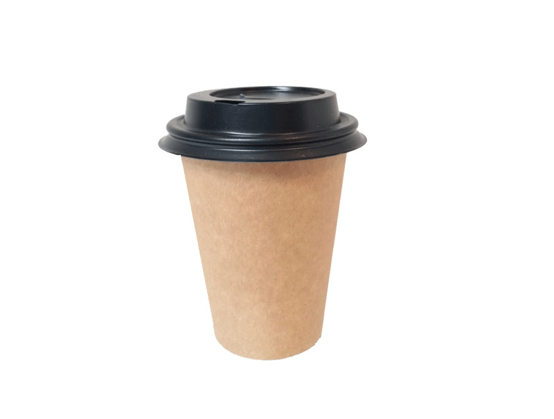 Cups and Sustainable Solutions for Hot and Cold Beverages at Westland Verpakkingen