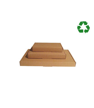 Bruin kraft brievenbusdozen A5, 50 st