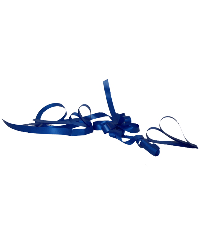 Curlribbon, Royal Blue, 19mm, XL package