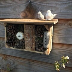 Filling & decorating