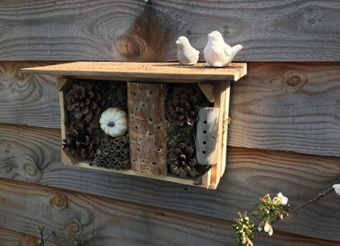 Filling & decorating