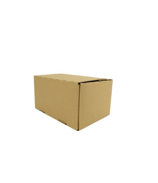 Autolock box S, 213x153x109 mm, 10pieces
