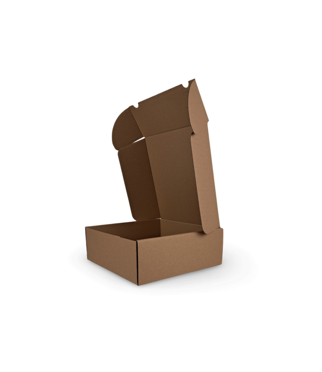 Westland Verpakkingen Sturdy Shipping Box 23x23x8.5 cm in Brown Cardboard – Ideal for Parcel Delivery