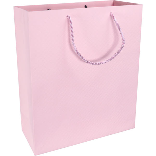 Pastel pink paper carrier bag 31x12x26cm FSC – embossed – with cord handles – 10 pcs