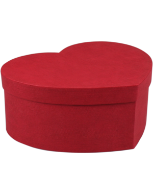  Geschenkdoos hartvorm karton 20x25x10cm rood – 1 stuk