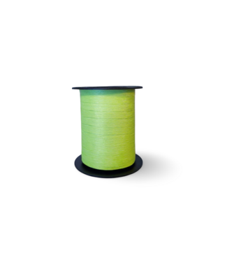 Paperlook Ribbon Pastel Green 7.5mm x 200m