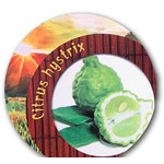 Eetbare tuin-edible garden Citrus hystrix - Combava