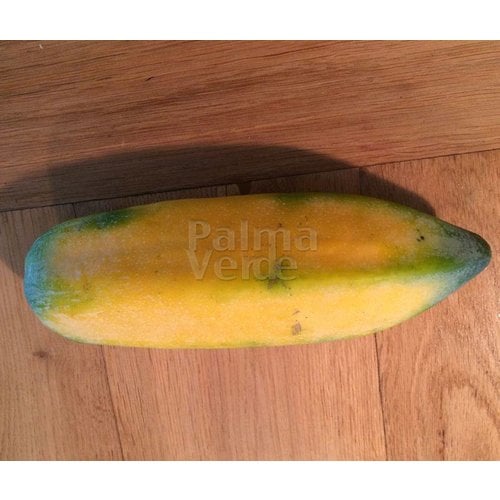 Eetbare tuin-edible garden Carica pentagona - Vasconcellea x heilbornii - Babaco papaya