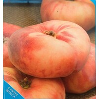 Eetbare tuin-edible garden Prunus persica Platicarpa - Donut Peach