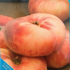 Eetbare tuin-edible garden Prunus persica Platicarpa - Donut Peach
