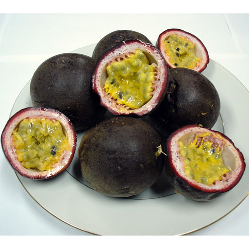 Eetbare tuin-edible garden Passiflora edulis - Passion fruit